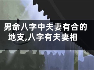 男命八字中夫妻有合的地支,八字有夫妻相