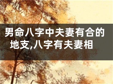 男命八字中夫妻有合的地支,八字有夫妻相