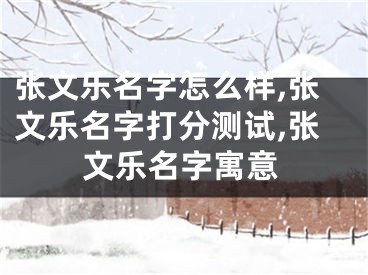 张文乐名字怎么样,张文乐名字打分测试,张文乐名字寓意