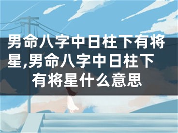 男命八字中日柱下有将星,男命八字中日柱下有将星什么意思
