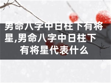 男命八字中日柱下有将星,男命八字中日柱下有将星代表什么