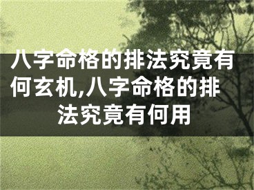 八字命格的排法究竟有何玄机,八字命格的排法究竟有何用