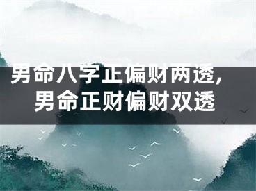 男命八字正偏财两透,男命正财偏财双透