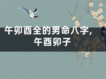 午卯酉全的男命八字,午酉卯子