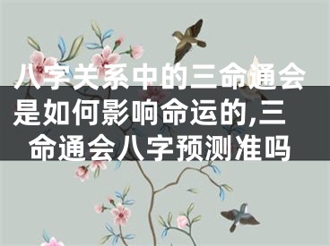 八字关系中的三命通会是如何影响命运的,三命通会八字预测准吗
