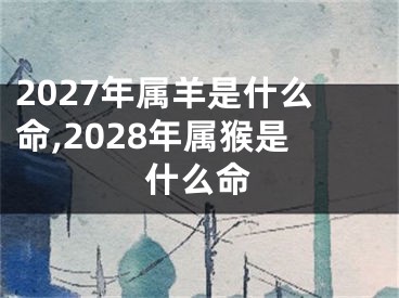 2027年属羊是什么命,2028年属猴是什么命