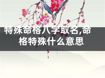特殊命格八字取名,命格特殊什么意思