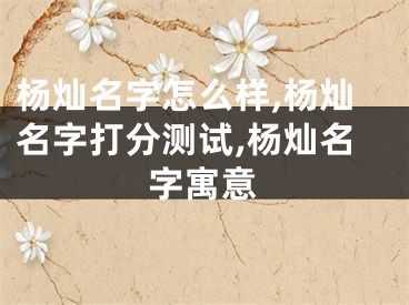 杨灿名字怎么样,杨灿名字打分测试,杨灿名字寓意