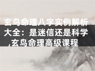玄鸟命理八字实例解析大全：是迷信还是科学,玄鸟命理高级课程