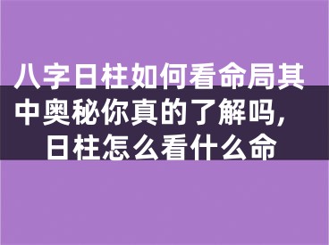 八字日柱如何看命局其中奥秘你真的了解吗,日柱怎么看什么命