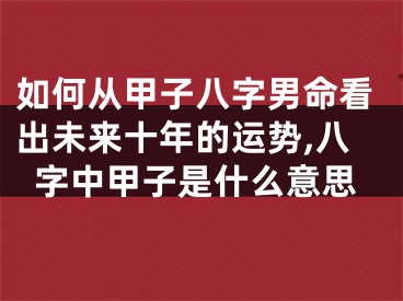 如何从甲子八字男命看出未来十年的运势,八字中甲子是什么意思