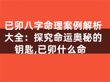 已卯八字命理案例解析大全：探究命运奥秘的钥匙,已卯什么命