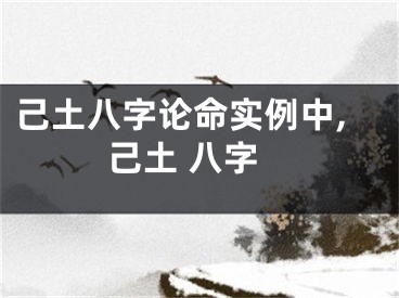 己土八字论命实例中,己土 八字