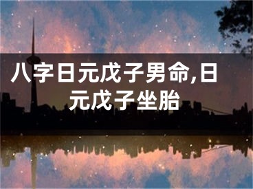 八字日元戊子男命,日元戊子坐胎