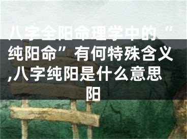 八字全阳命理学中的“纯阳命”有何特殊含义,八字纯阳是什么意思阳