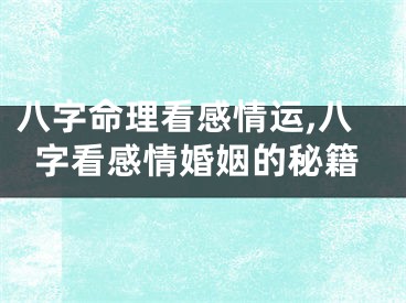 八字命理看感情运,八字看感情婚姻的秘籍
