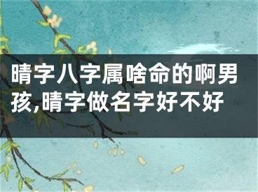晴字八字属啥命的啊男孩,晴字做名字好不好