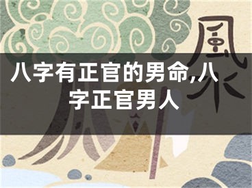 八字有正官的男命,八字正官男人