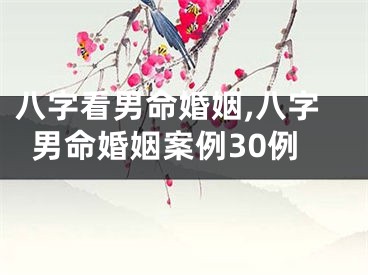 八字看男命婚姻,八字男命婚姻案例30例