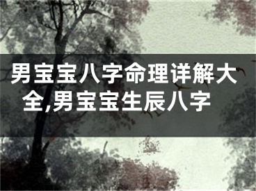 男宝宝八字命理详解大全,男宝宝生辰八字