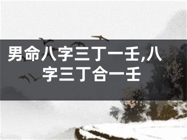 男命八字三丁一壬,八字三丁合一壬