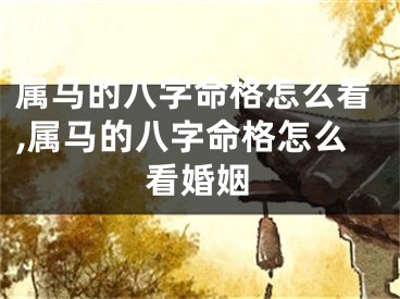 属马的八字命格怎么看,属马的八字命格怎么看婚姻