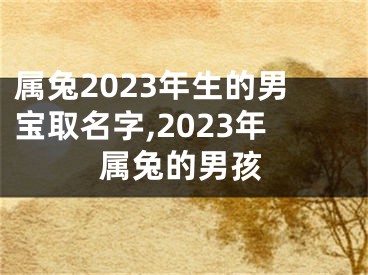 属兔2023年生的男宝取名字,2023年属兔的男孩