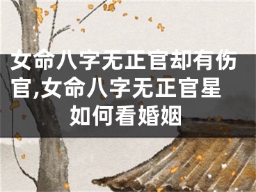 女命八字无正官却有伤官,女命八字无正官星如何看婚姻
