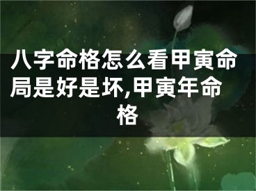 八字命格怎么看甲寅命局是好是坏,甲寅年命格