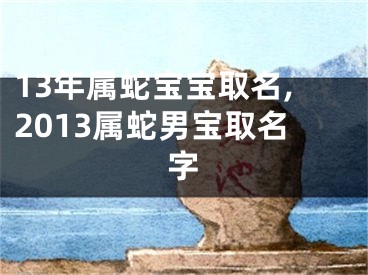 13年属蛇宝宝取名,2013属蛇男宝取名字