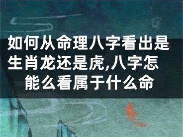 如何从命理八字看出是生肖龙还是虎,八字怎能么看属于什么命