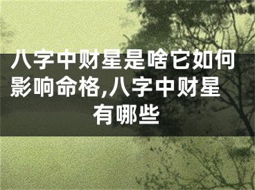 八字中财星是啥它如何影响命格,八字中财星有哪些