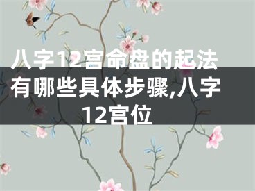 八字12宫命盘的起法有哪些具体步骤,八字12宫位