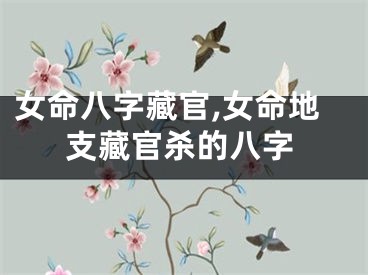 女命八字藏官,女命地支藏官杀的八字