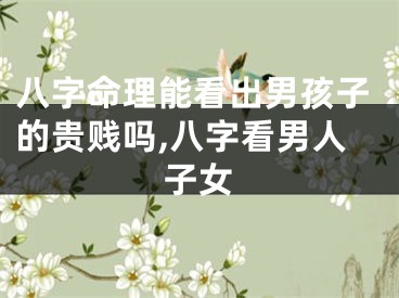 八字命理能看出男孩子的贵贱吗,八字看男人子女