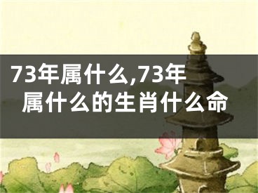 73年属什么,73年属什么的生肖什么命
