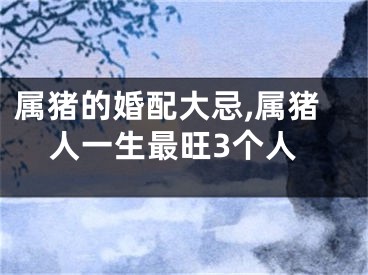 属猪的婚配大忌,属猪人一生最旺3个人