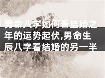 男命八字如何看结婚之年的运势起伏,男命生辰八字看结婚的另一半