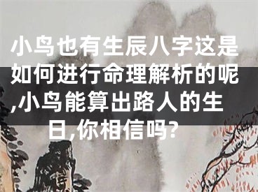 小鸟也有生辰八字这是如何进行命理解析的呢,小鸟能算出路人的生日,你相信吗?