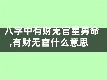 八字中有财无官星男命,有财无官什么意思