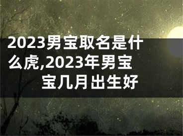 2023男宝取名是什么虎,2023年男宝宝几月出生好