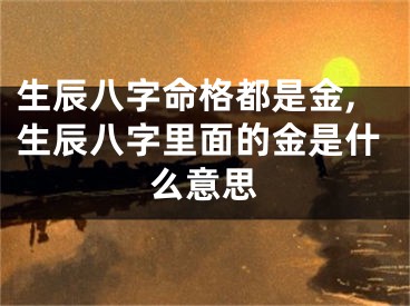 生辰八字命格都是金,生辰八字里面的金是什么意思