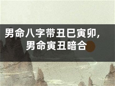 男命八字带丑巳寅卯,男命寅丑暗合