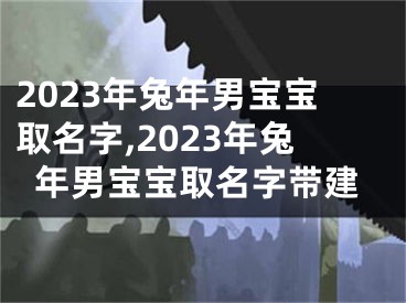 2023年兔年男宝宝取名字,2023年兔年男宝宝取名字带建