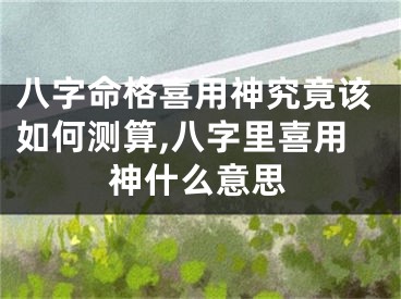 八字命格喜用神究竟该如何测算,八字里喜用神什么意思