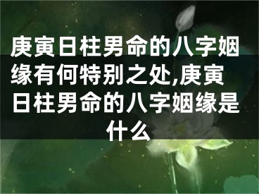 庚寅日柱男命的八字姻缘有何特别之处,庚寅日柱男命的八字姻缘是什么