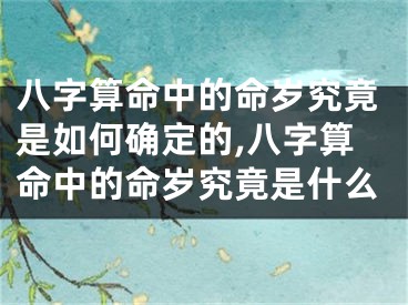 八字算命中的命岁究竟是如何确定的,八字算命中的命岁究竟是什么