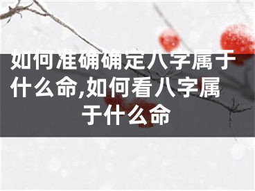 如何准确确定八字属于什么命,如何看八字属于什么命