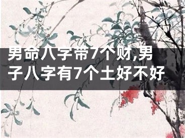 男命八字带7个财,男子八字有7个土好不好