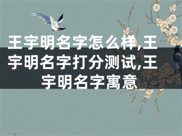 王宇明名字怎么样,王宇明名字打分测试,王宇明名字寓意